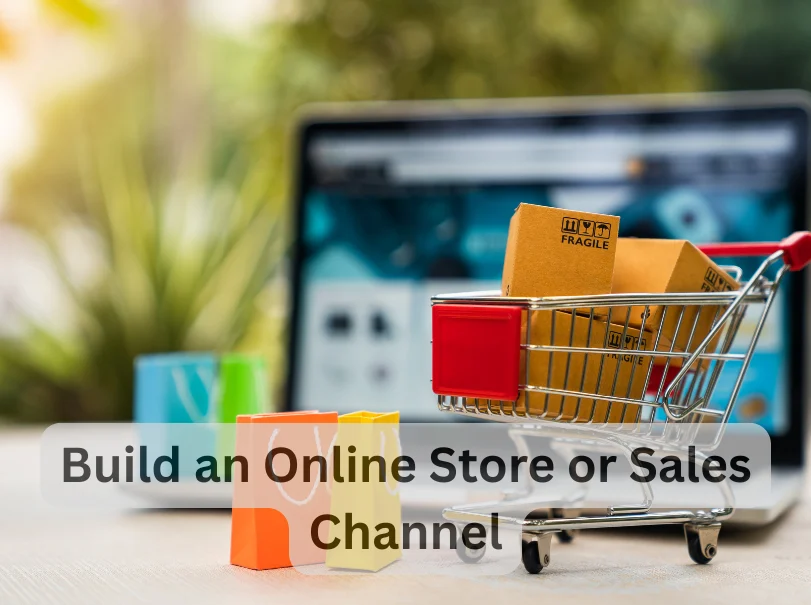 Build an Online Store or Sales Channel